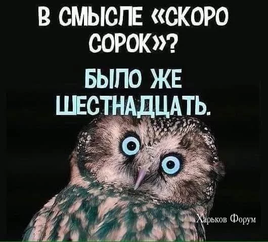 d7174444f0b1d3bba4.webp
