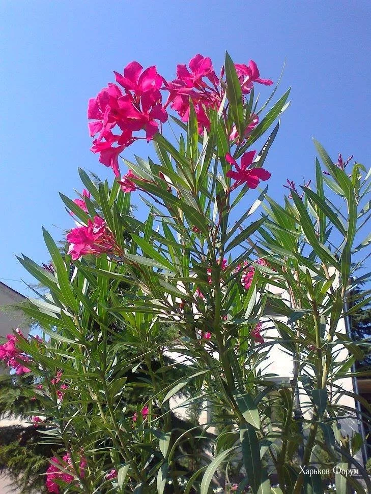 d722cfc7649845091eb.webp