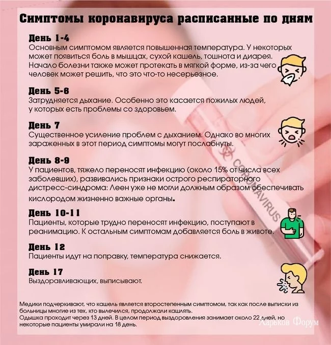 d724e8acd56eef284cf5fab6.webp