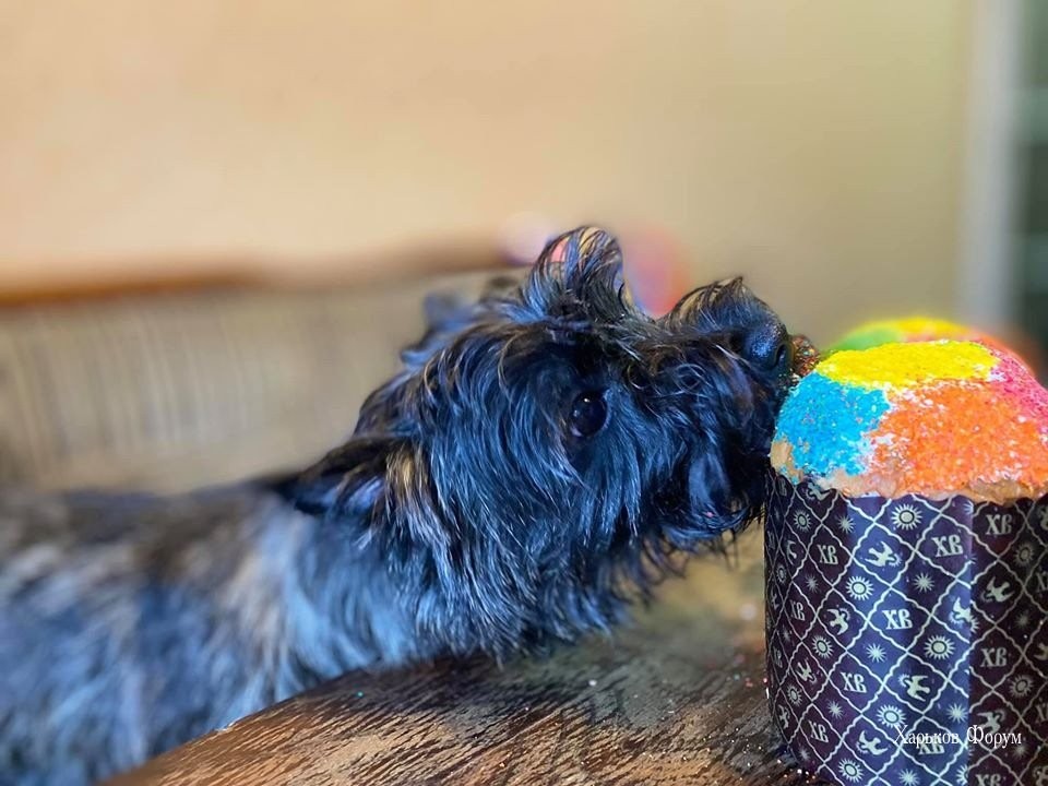 d72e3c0d55247947a0.jpg