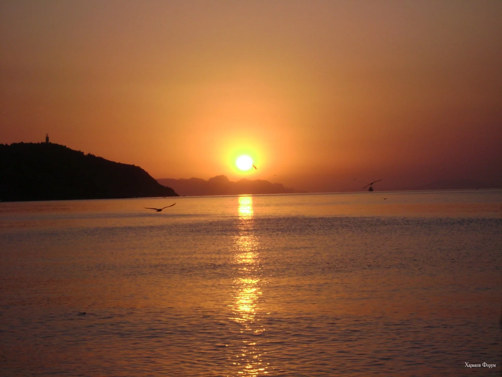 d743e3ac58da8a78b2.webp