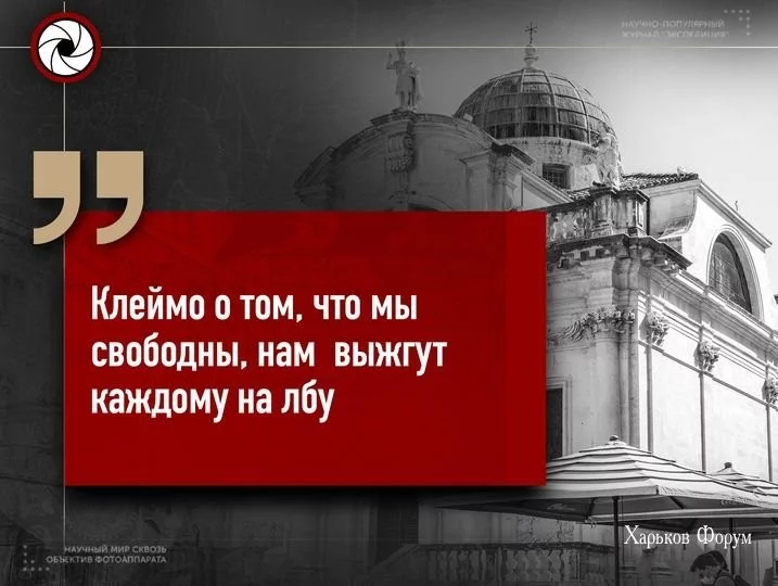 d751eeaea7d7c26146ef.webp