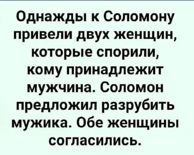 d7637cd774f86b0d9572813.webp