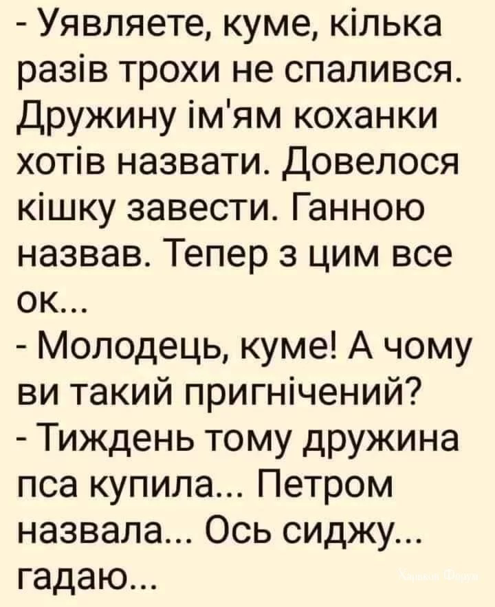 d76ec2592df090dc0af33.webp