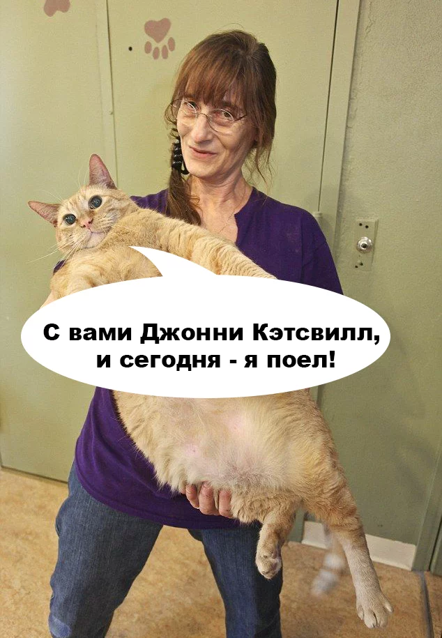 d775210284bdc6b707c3e13dda38143d.webp