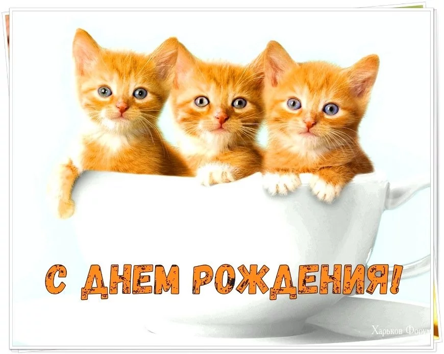 d7777ab3d9ef0e59b76e.webp