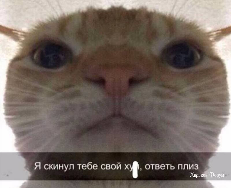 d77f05def9c0f0c33a.jpg