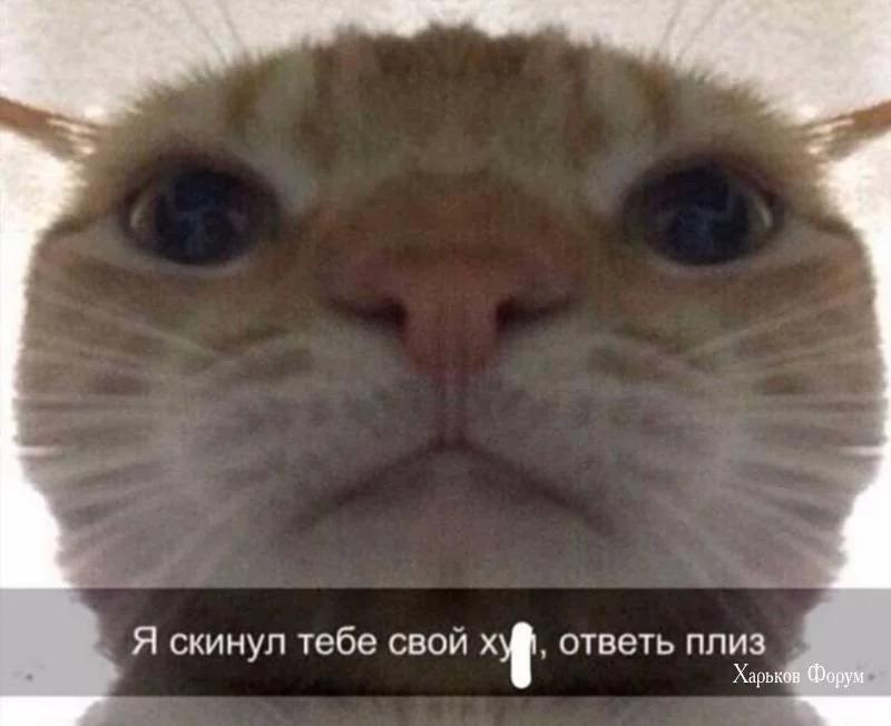 d77f05def9c0f0c33a.webp