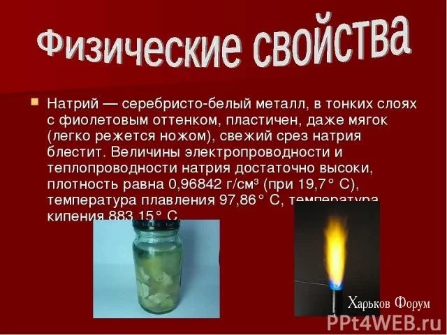 d781f5bcc47dbd90.webp