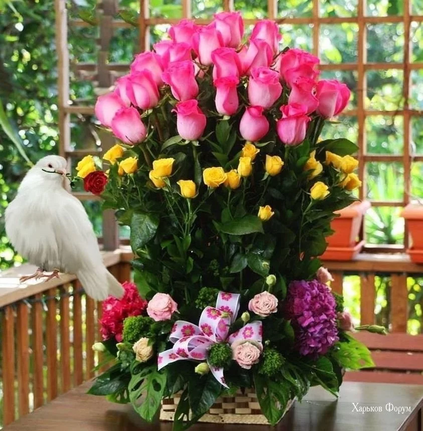 d7865bc80f0bf546818c9.webp