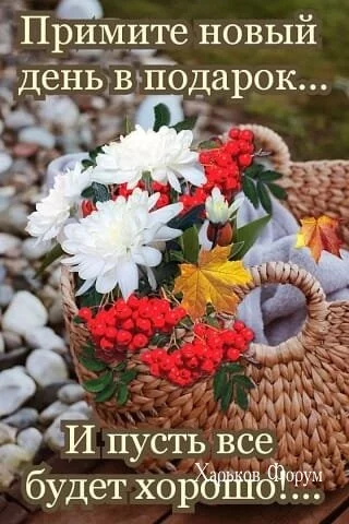 d7af066f9c07ea66fbd.webp