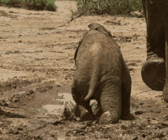 d7afb552770acad36feb10.gif
