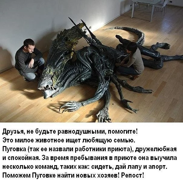 d7affa.webp