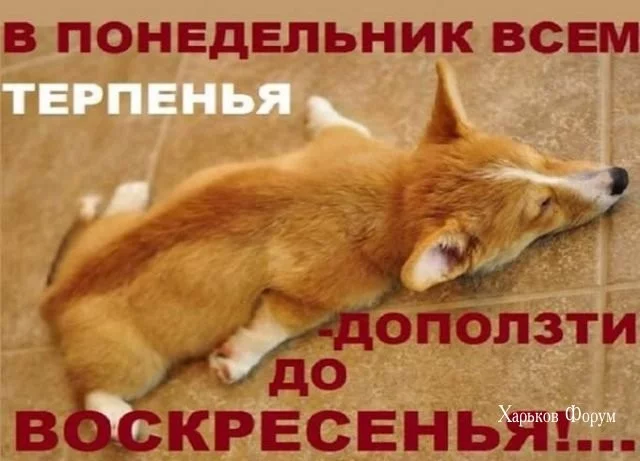 d7ba70846ec028a5cae.webp