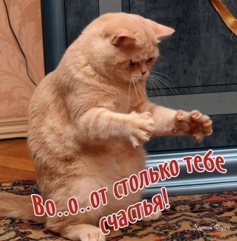 d7c628ee06a266f15d6adc8a.webp