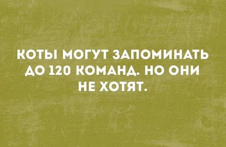 d7cdjb.webp