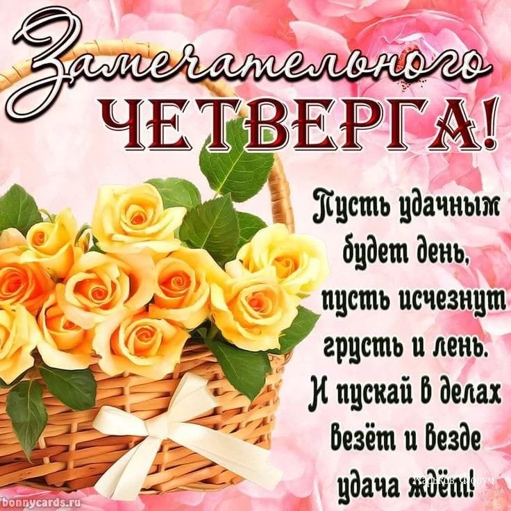 d7d162d240ce7759b5.webp