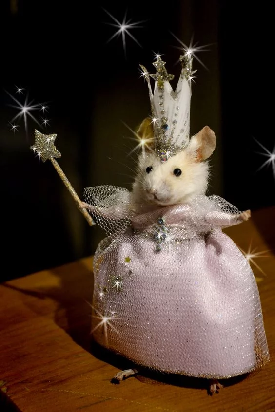 d7db60fab10fd--glinda-the-good-witch-hamster-stuff.webp