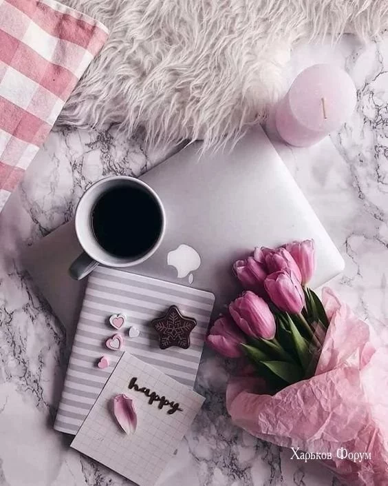 d7e37c95d02a5a1ed1c3.webp