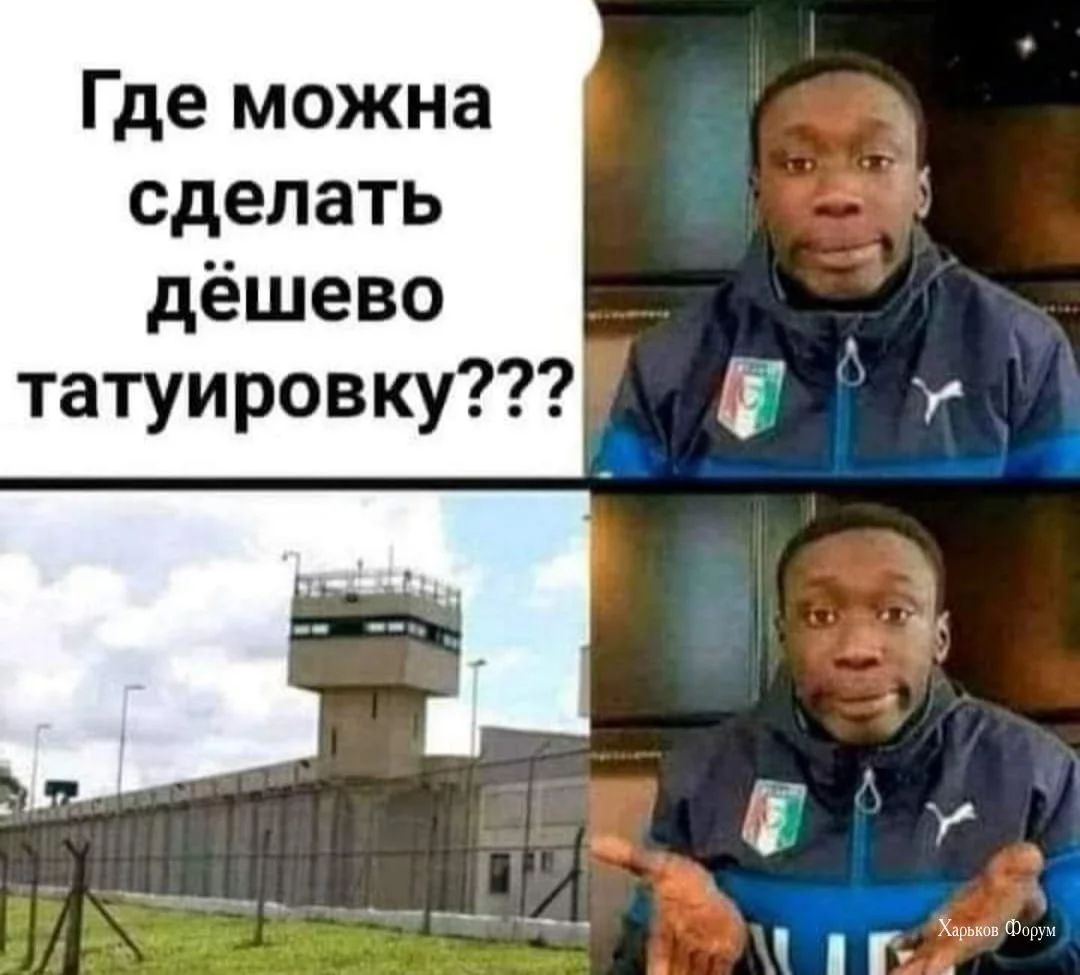 d7f5f4a9f33077fe34.webp