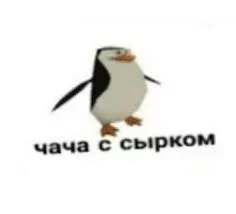 d7fd5e3fd3bcde91.webp