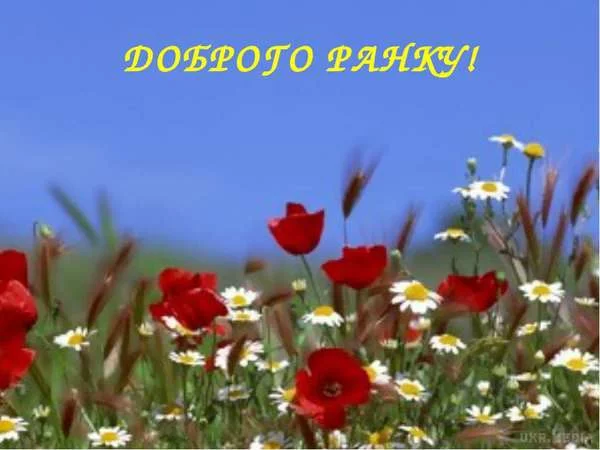 d7fjcg.webp