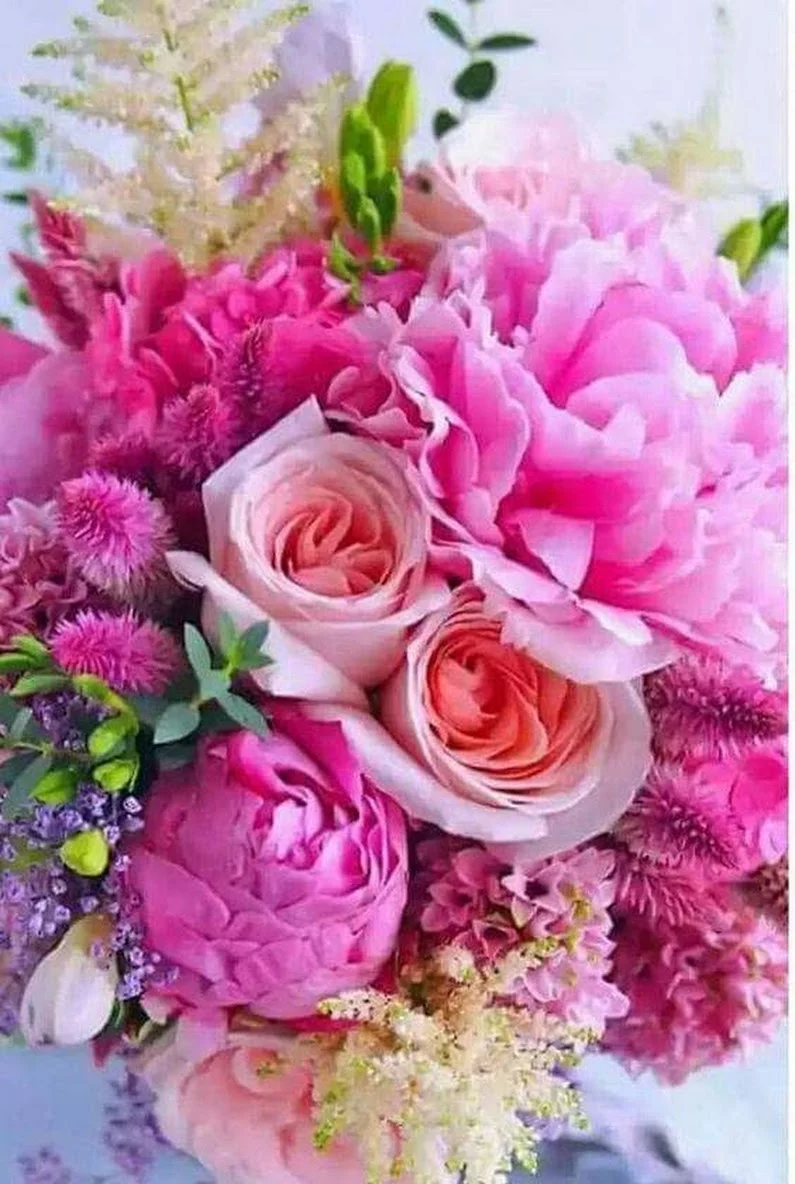 d7hdjf.webp