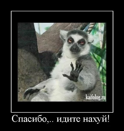 d7jcbd.webp