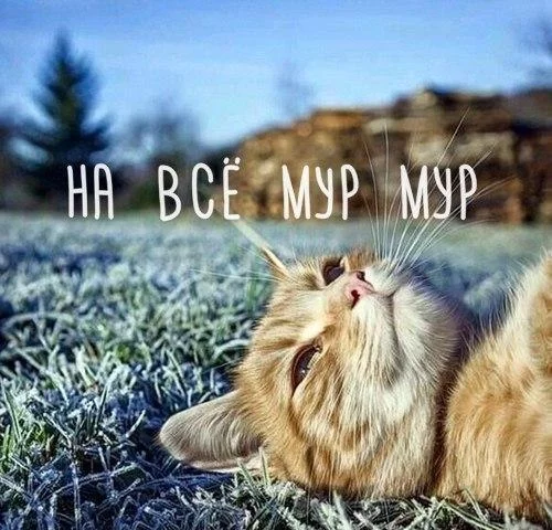 d7jddj.webp