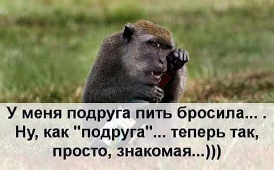 d7jgad.webp