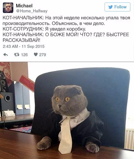 d7nt1msTxG8.webp