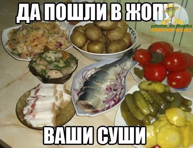 d7XMXE_2Hog.webp