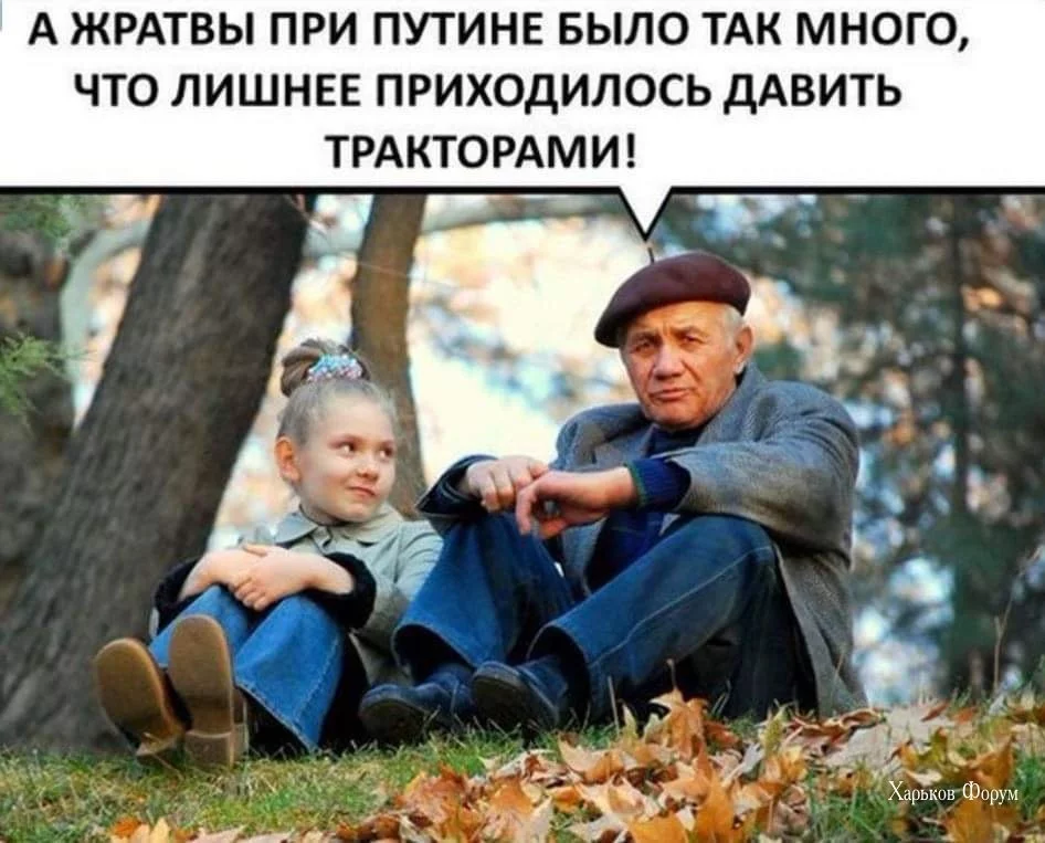 d8022e2e4ed091fc7916addb.jpg