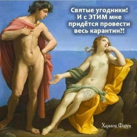 d8047c776e3870c7.webp