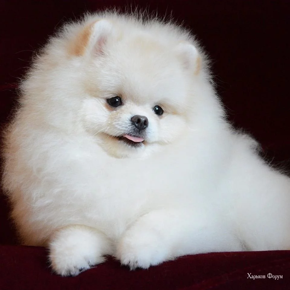 d84bcd4ff3170568763c3b1f.webp