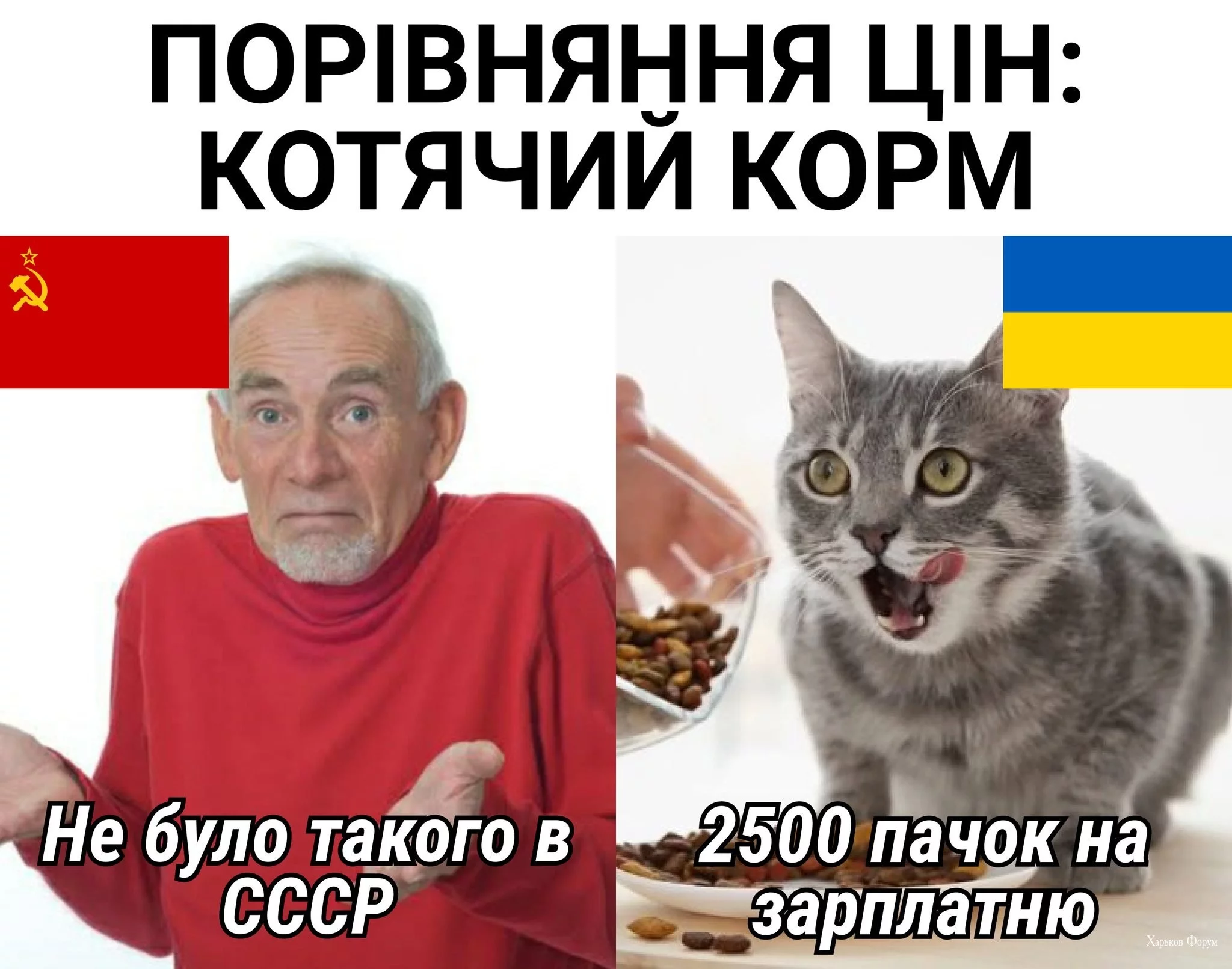 d872249a84616ffb084f3f00.webp