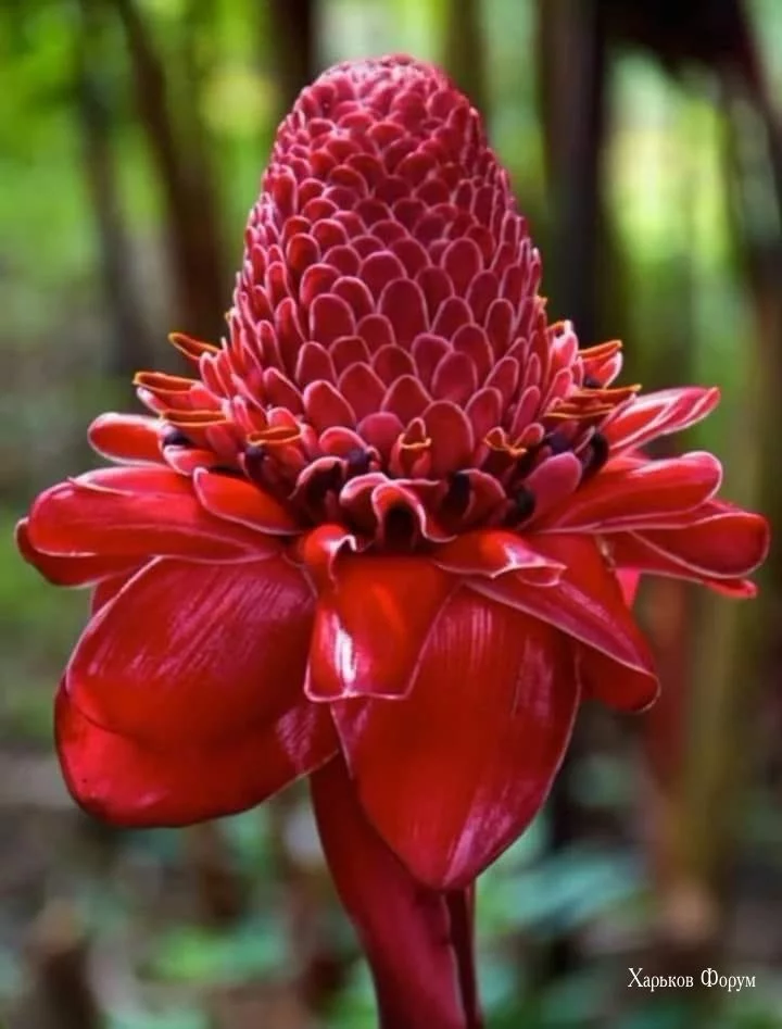 d880e8ff2e861151871f4172.webp