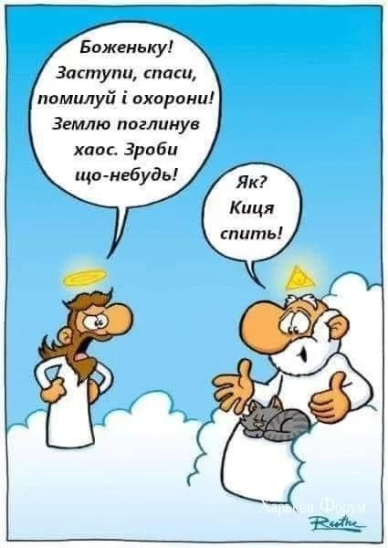 d88c5fd3ab2f917d464a.webp