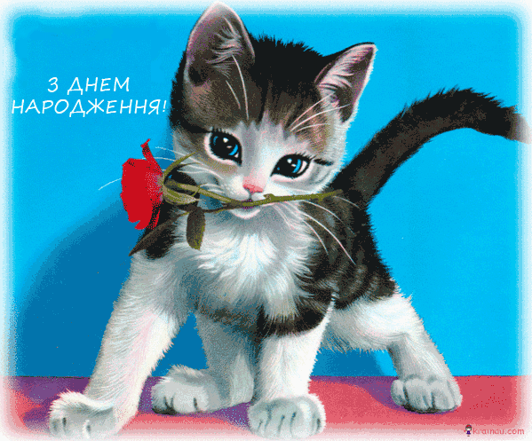 d8961fa57f2063f0cf9.gif