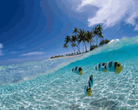 d89ce13c557f5c7a2e120a79.gif