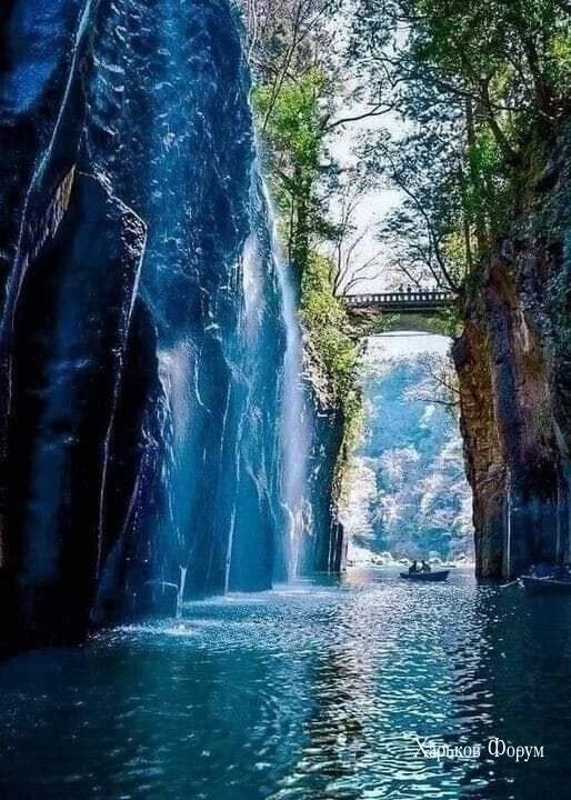 d89f3c5f80f525a800.webp