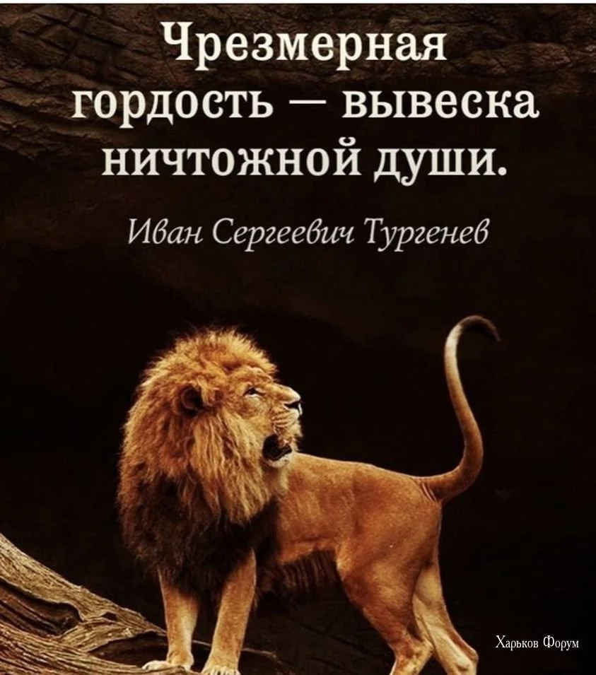 d89f46b3327ad7b5c8b02940.webp
