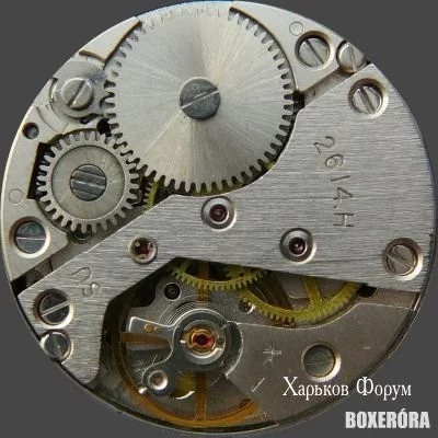 d8a5bca26d418df0e01c318d.webp