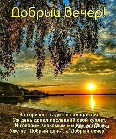 d8bb64c03c6c082234a078.webp