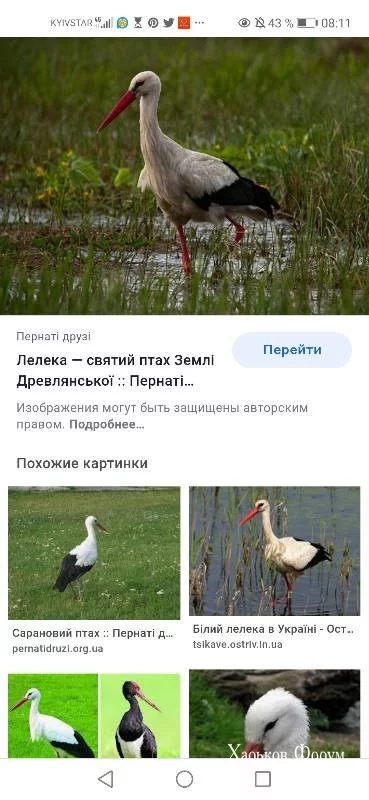 d8bb8f14d0c06fa39bf802b2.webp