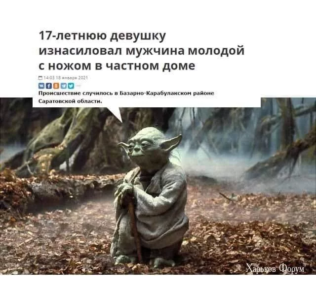 d8c760aa197277e33fccfa9.webp