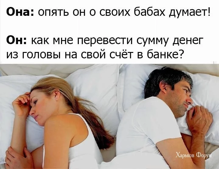 d8ca32cf4bd355dce8e5bbeb.webp