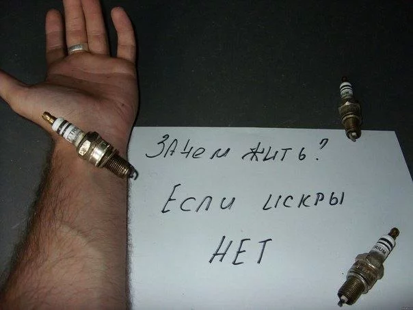 d8DhA1NTxcs.jpg