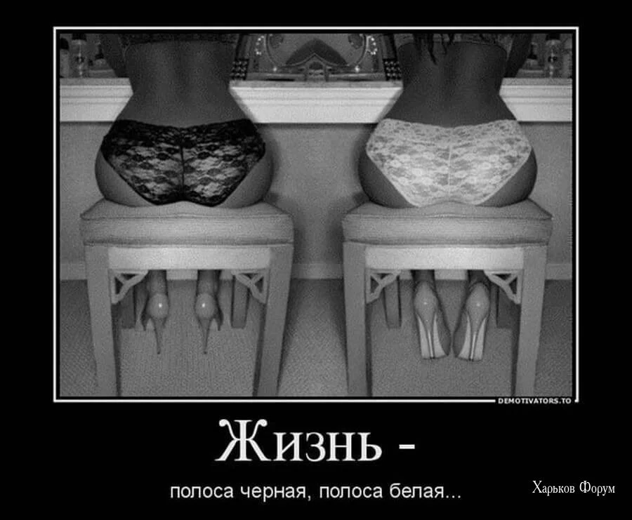 d8f6296a3b58874d39.webp