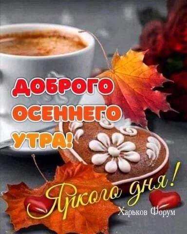 d8fa4ef10e704611a0.webp